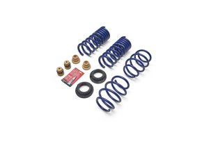 Ford Mustang Suspension Lowering Spring Kit - Ford Racing - Track Lowering - 2024+